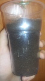 20180109_231822.jpg