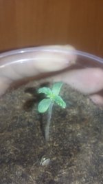 20180109_231845.jpg