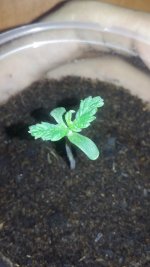 20180110_215814.jpg
