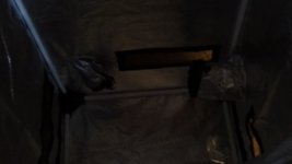 DSC01593.JPG