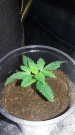 20180111_172754.jpg