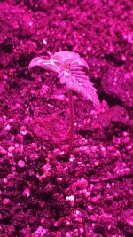 IMG_20180111_193439.jpg