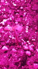 IMG_20180111_193557.jpg