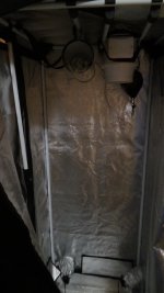 DSC01600.JPG