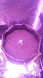 20180111_215420.jpg