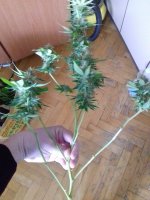 20180112_095547.jpg