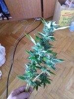 20180112_094344.jpg