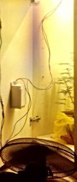 IMG_20180113_102212_786.jpg