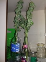 20180113_185504.jpg