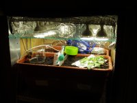 14 янв Трое в боксе не считая МазАра.JPG