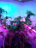 20180113_233106.jpg