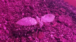 IMG_20180114_215510.jpg