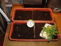 Растихи 15 янв 1.JPG