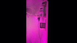 IMG-31810756b5e39bc24ca64caf67091b4d-V.jpg