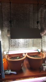IMG_20180116_195604.jpg