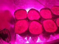 IMG_20180116_163505.jpg