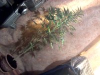 vlcsnap-00017 копия.jpg