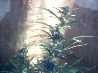 vlcsnap-00018 копия.jpg