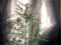 vlcsnap-00019 копия.jpg