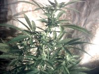 vlcsnap-00023 копия.jpg