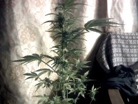 vlcsnap-00026 копия.jpg