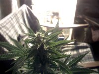 vlcsnap-00032 копия.jpg