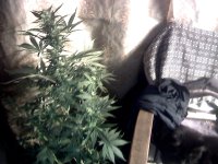 vlcsnap-00034 копия.jpg