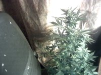 vlcsnap-00036 копия.jpg