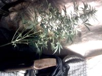 vlcsnap-00039 копия.jpg