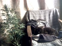 vlcsnap-00042 копия.jpg