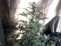 vlcsnap-00046 копия.jpg