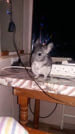20180116_222832.jpg