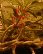 Screenshot (5).png