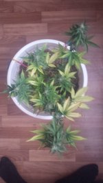 20180117_143025.jpg