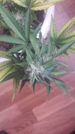 20180117_143038.jpg