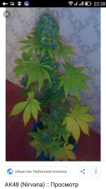 Screenshot_2018-01-17-23-38-03.jpeg