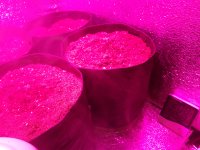 IMG_20180117_174704.jpg