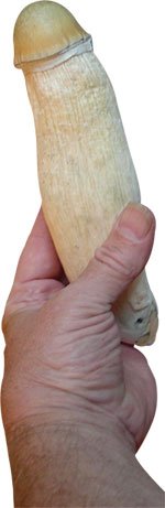 22.jpg 22.jpg