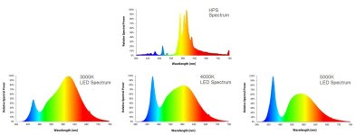 Спектры ДНАТ и бытовых LED.jpg