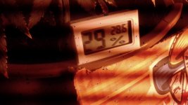 Без названия.jpg