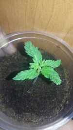 20180113_234534.jpg