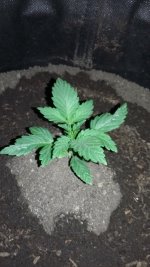 20180114_223347.jpg