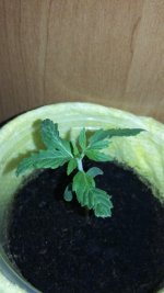 20180114_223055.jpg