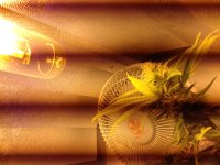 20180120_141526.jpg 20180120_141526.jpg