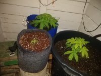 IMG_20180120_184044.jpg