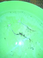 IMG_20180121_142418.jpg