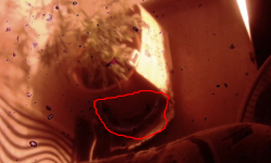 Screenshot (6).png