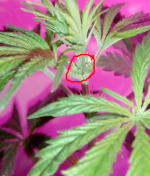 Screenshot (6).png