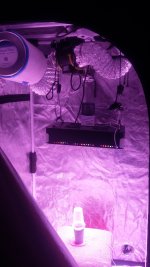 20171123_182656.jpg