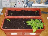 Все 23 янв.JPG